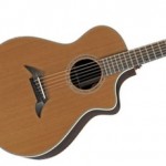 Breedlove C25/CR