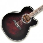 Ibanez AEL20E